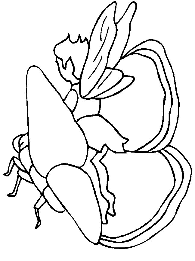 Plansa de colorat cu Zane 33 27